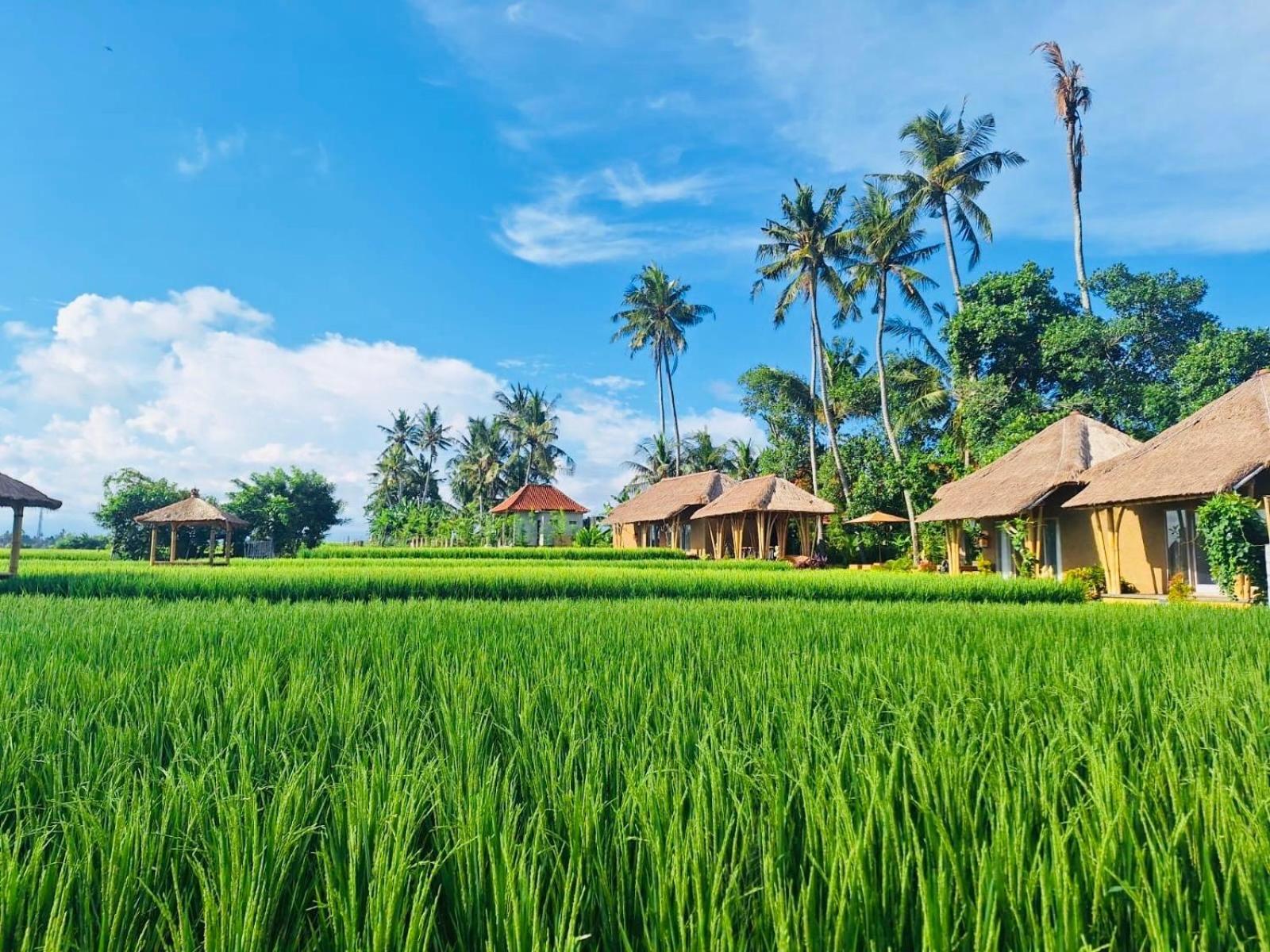Rumah Kita Ecolodge Ubud Exteriér fotografie