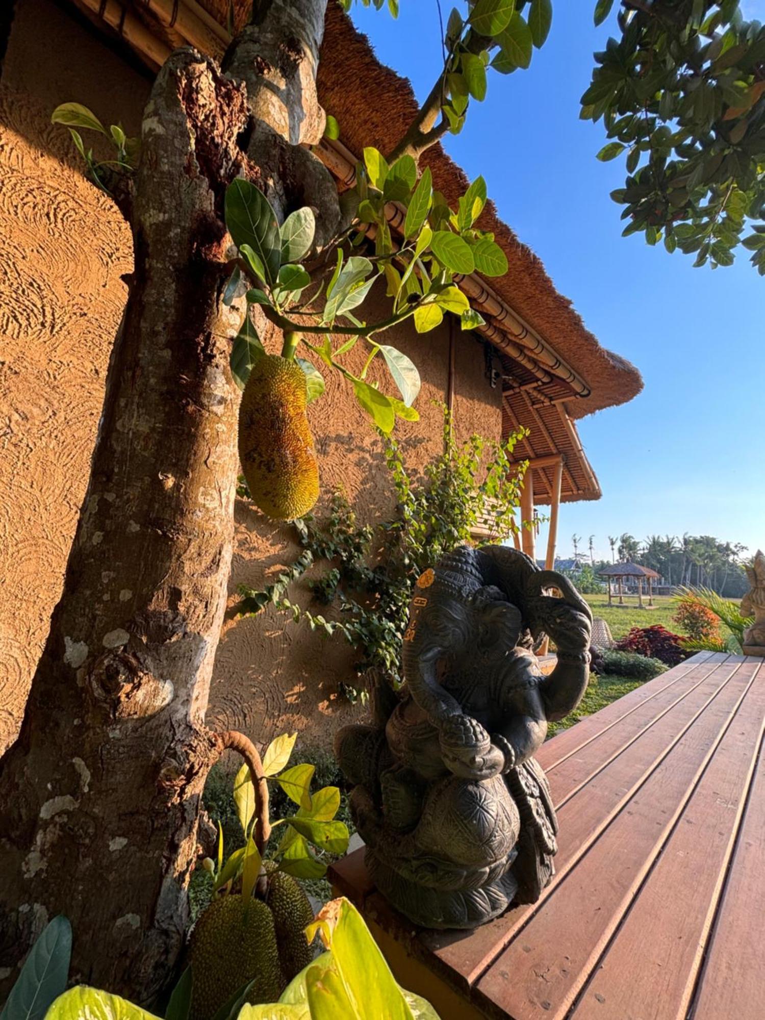 Rumah Kita Ecolodge Ubud Exteriér fotografie