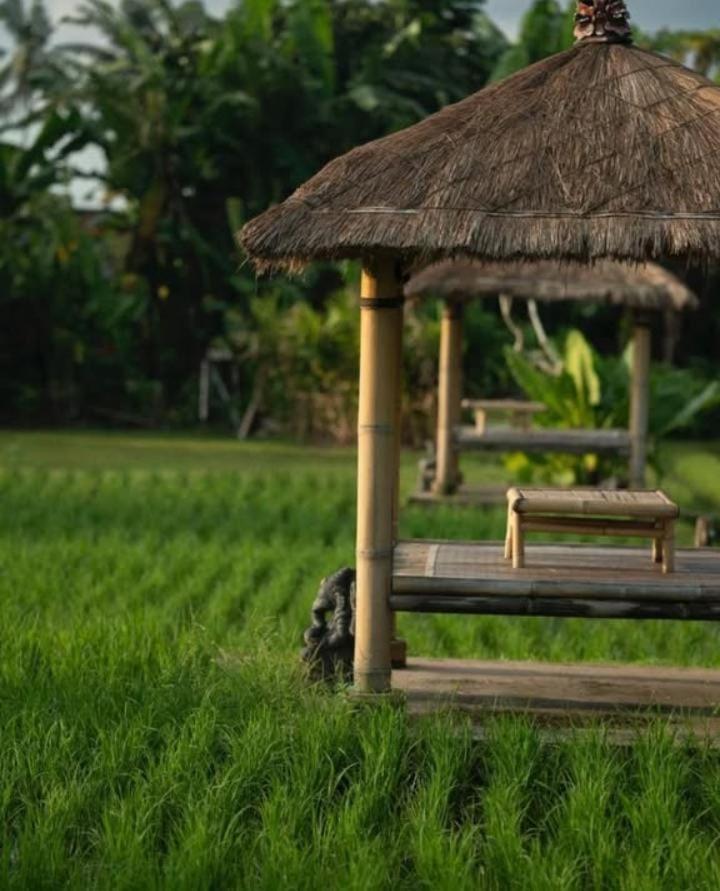 Rumah Kita Ecolodge Ubud Exteriér fotografie